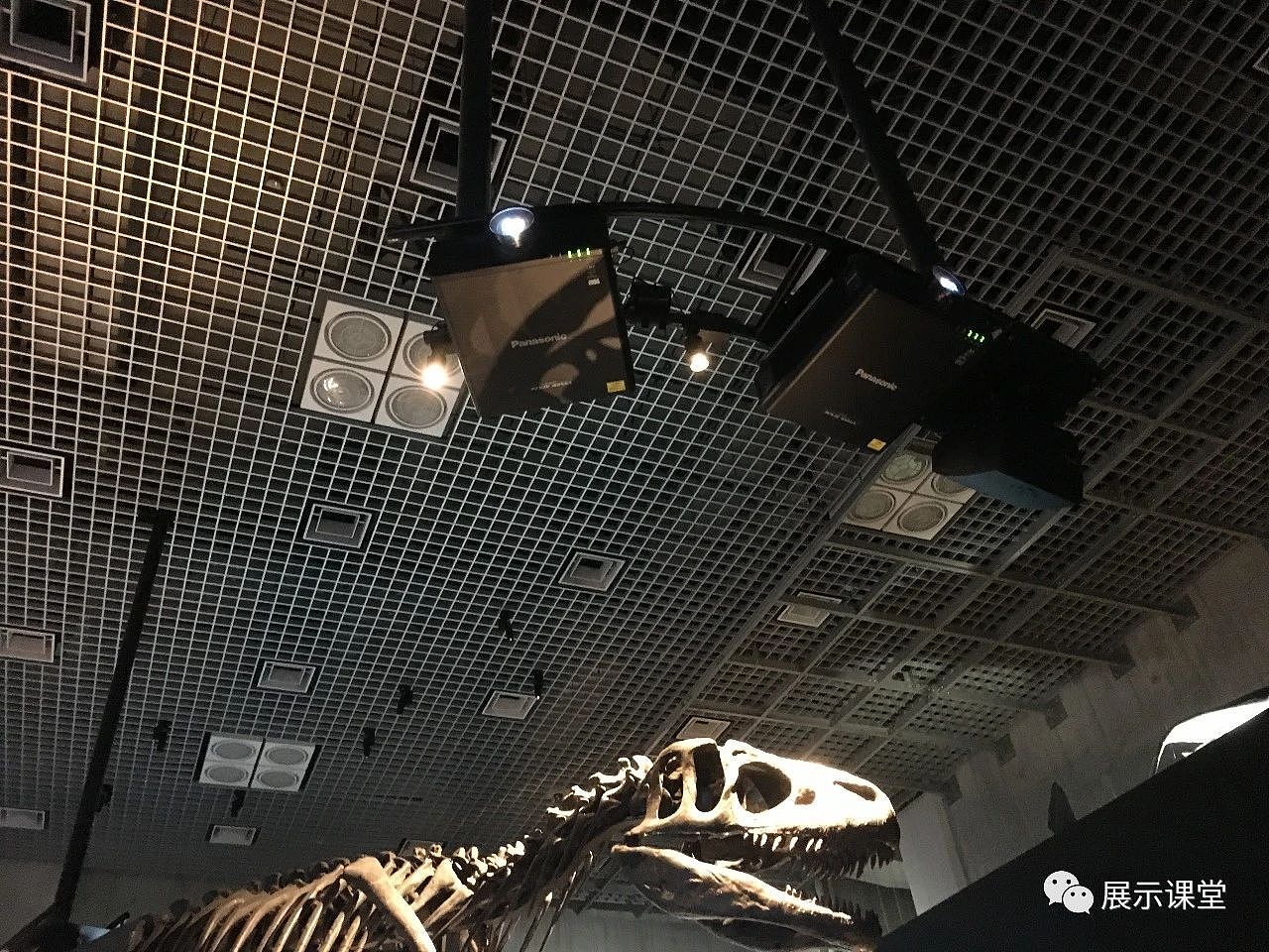 日本国立科学博物馆（图ZMjcxOTU0OTky） - 展陈设计 - 站酷设计师展示课堂原创素材 - 站酷ZCOOL