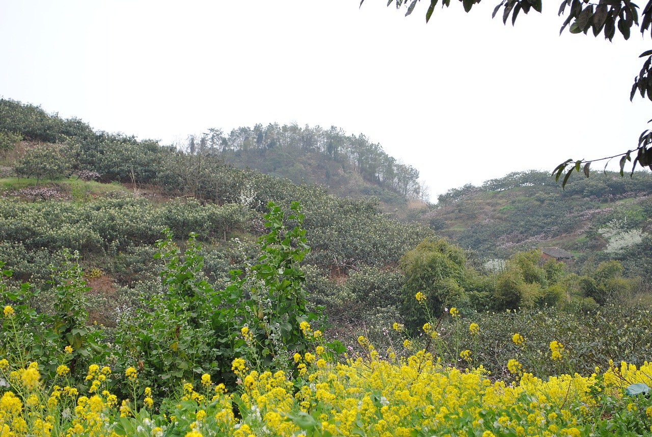 那些很美的地方不属于我（图ZNTMyMDg1Mg==） - 风光摄影 - 站酷设计师欧阳紫嫣原创素材 - 站酷ZCOOL