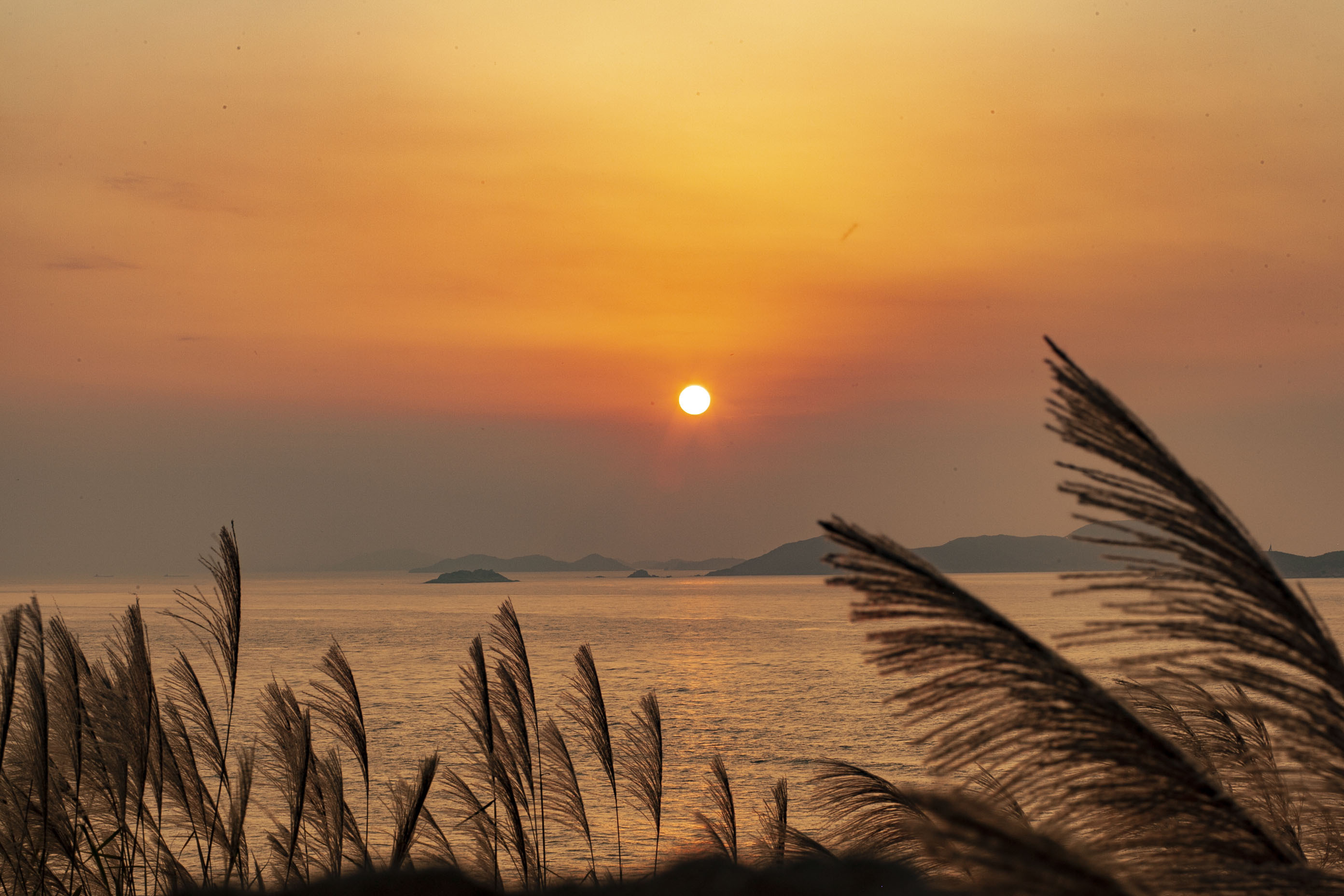 自然风光,东极岛,海景,灯塔,夕阳,荧光海