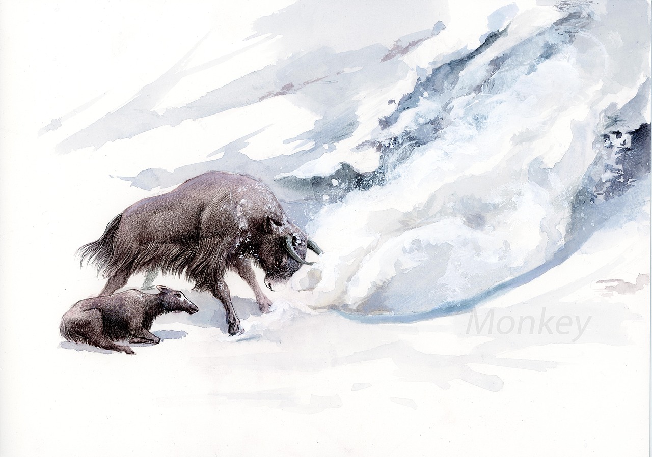 手绘插图《沈石溪动物故事》（图ZMjcyODUxNzg0） - 绘本 - 站酷设计师王俊宇Monkey原创素材 - 站酷ZCOOL