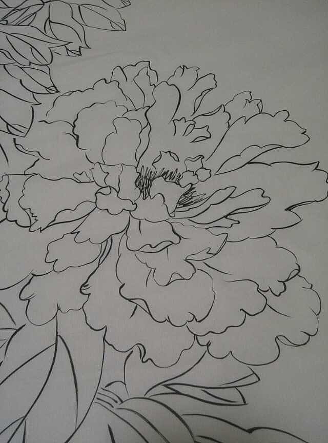 我的国画--花卉