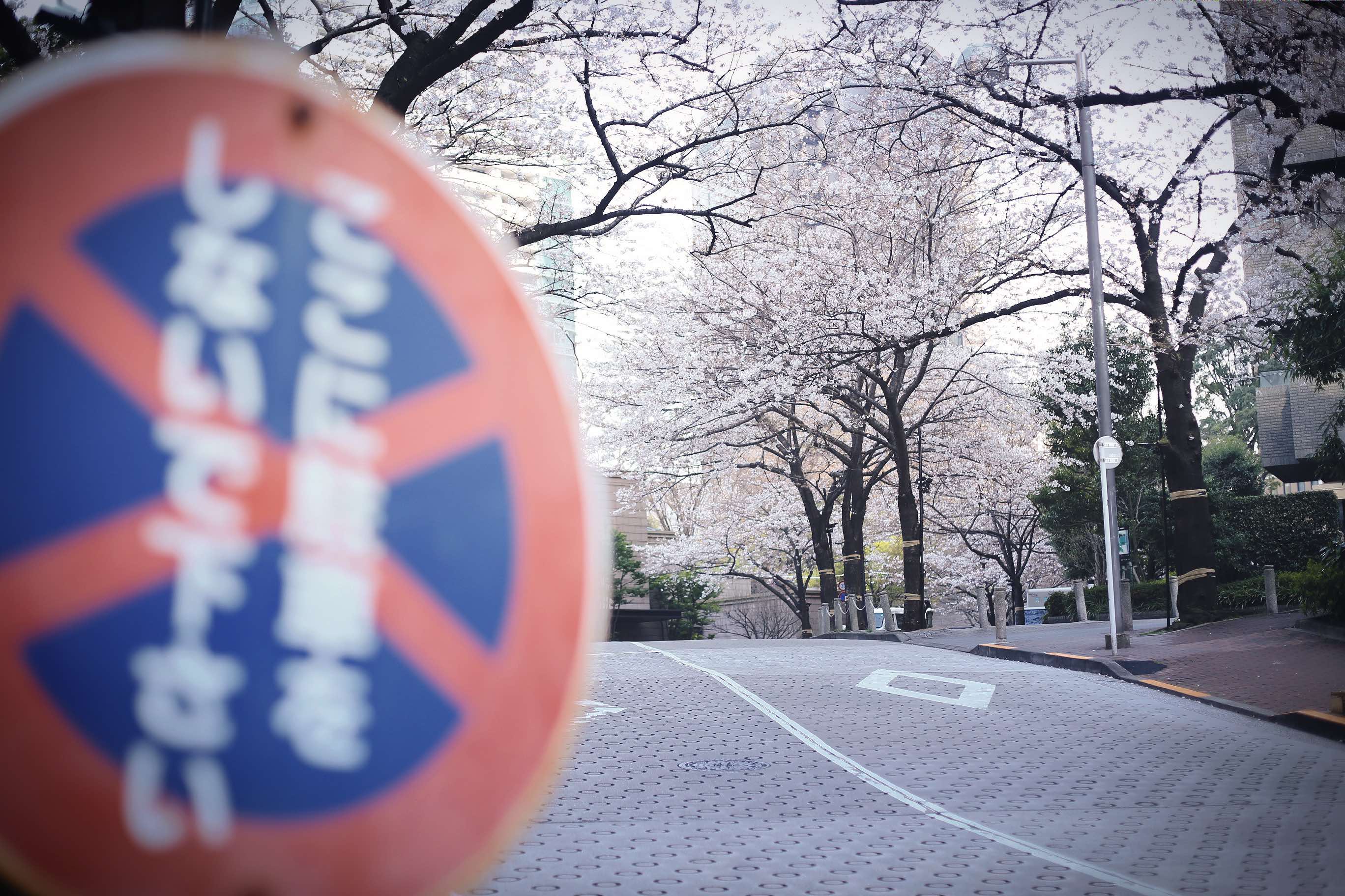 阿狽Bey的個(gè)人主頁（封面預(yù)覽） - 主頁封面設(shè)置 - 站酷設(shè)計(jì)師阿狽Bey原創(chuàng)素材 - 站酷ZCOOL