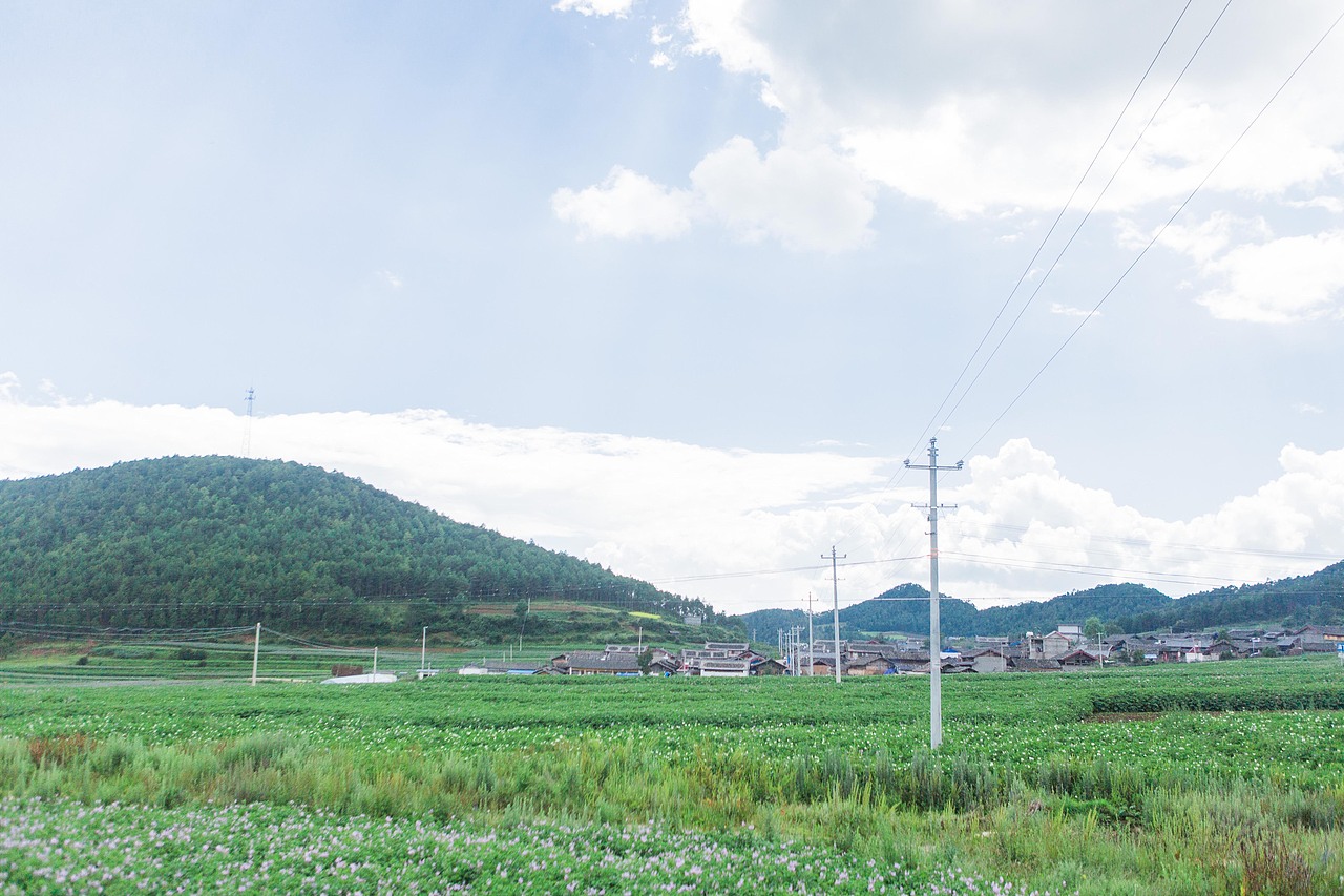 南溪村探寻记（图ZOTE1NDY1Mjg=） - 短片 - 站酷设计师楦梓原创素材 - 站酷ZCOOL