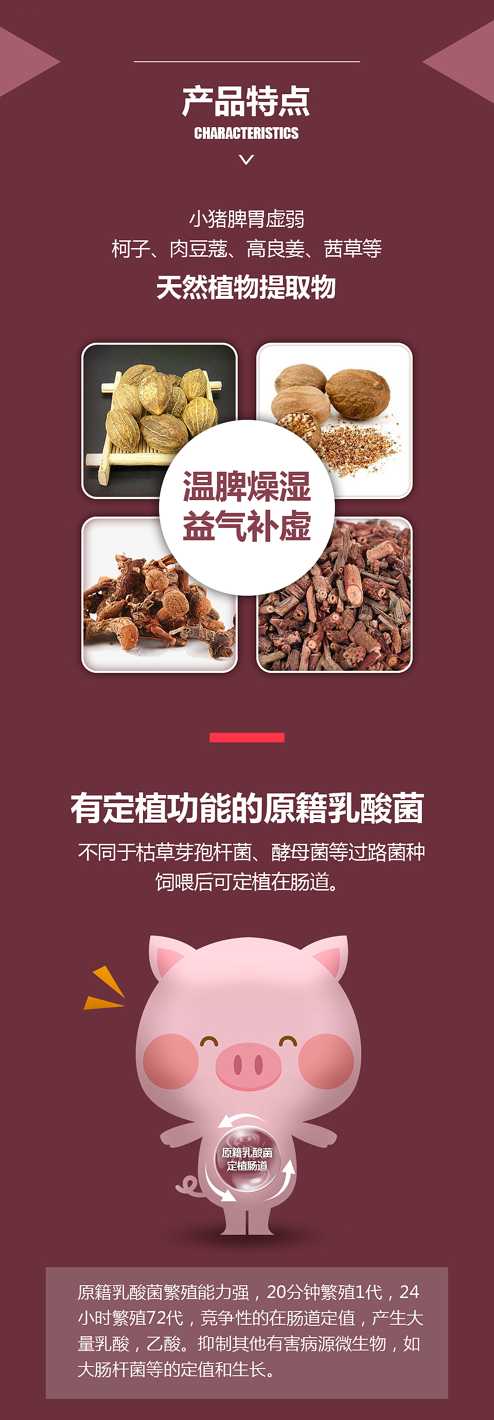 爱要喂-仔猪止痢产品详情页设计（图ZMjM2MTUyMjAw） - 电商 - 站酷设计师王利维原创素材 - 站酷ZCOOL