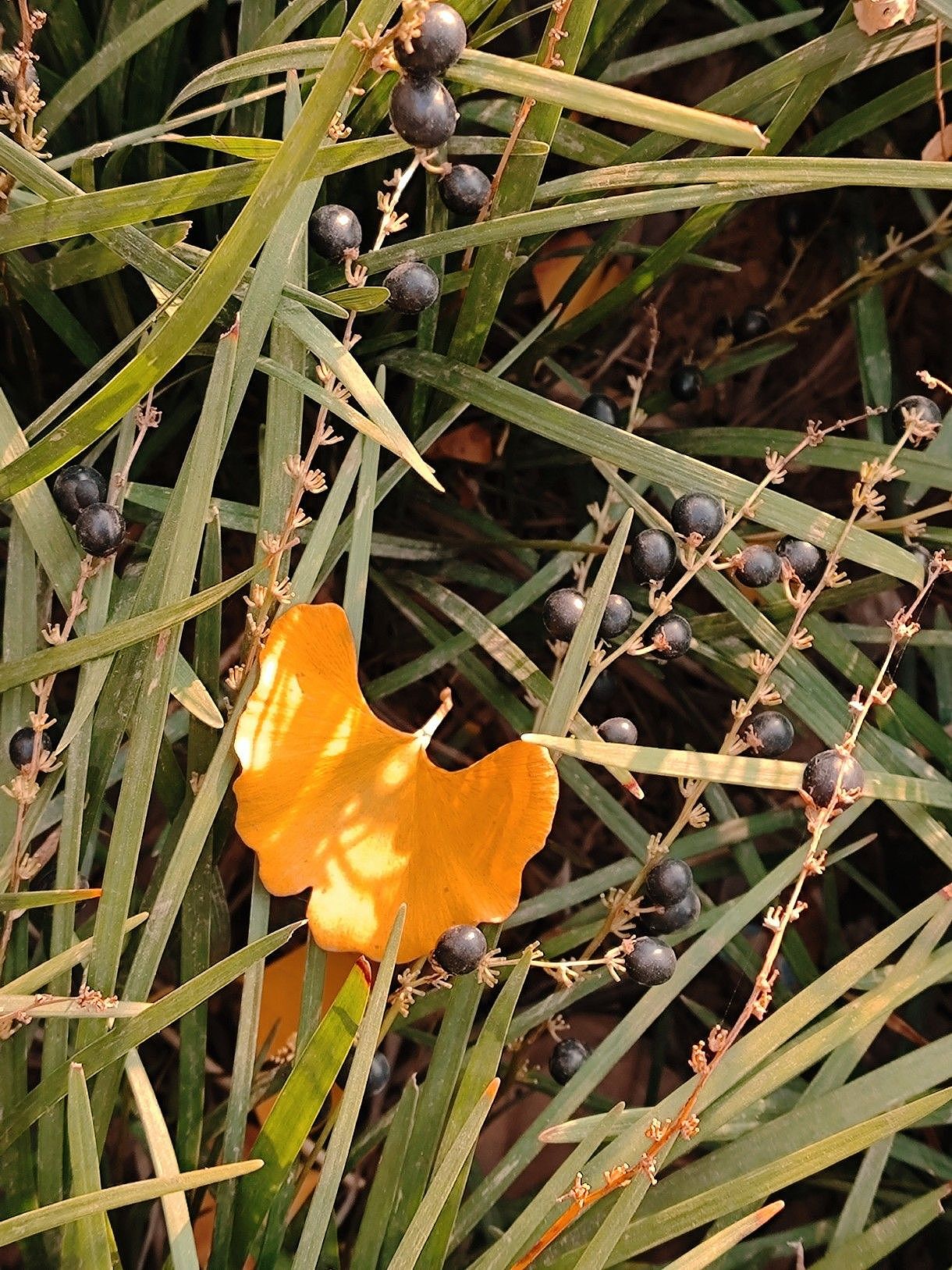 摄影（图ZMzQ0NTQ2NTg0） - 风光摄影 - 站酷设计师ijnjk原创素材 - 站酷ZCOOL