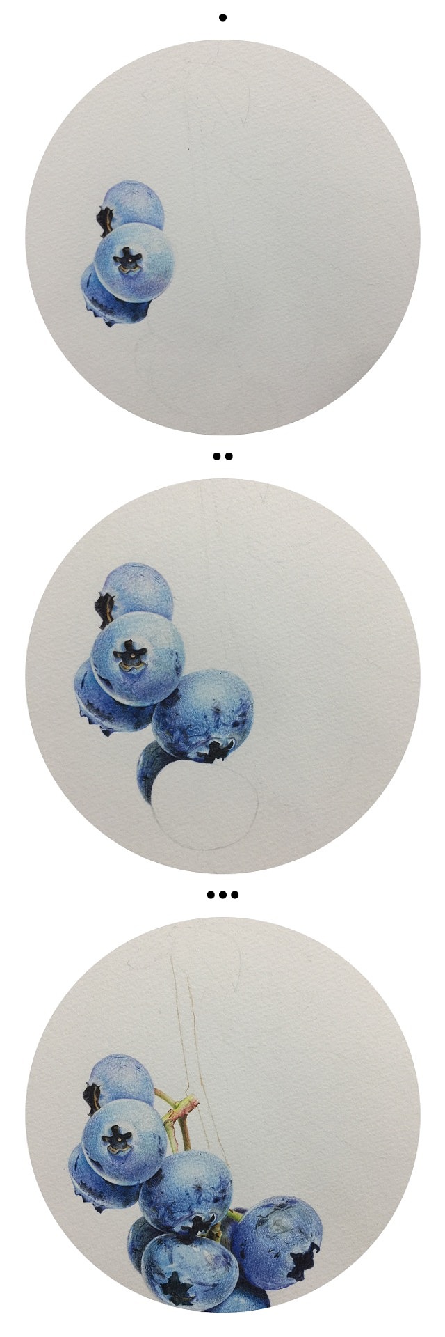 彩铅蓝莓 - 原创作品 - 站酷(zcool)