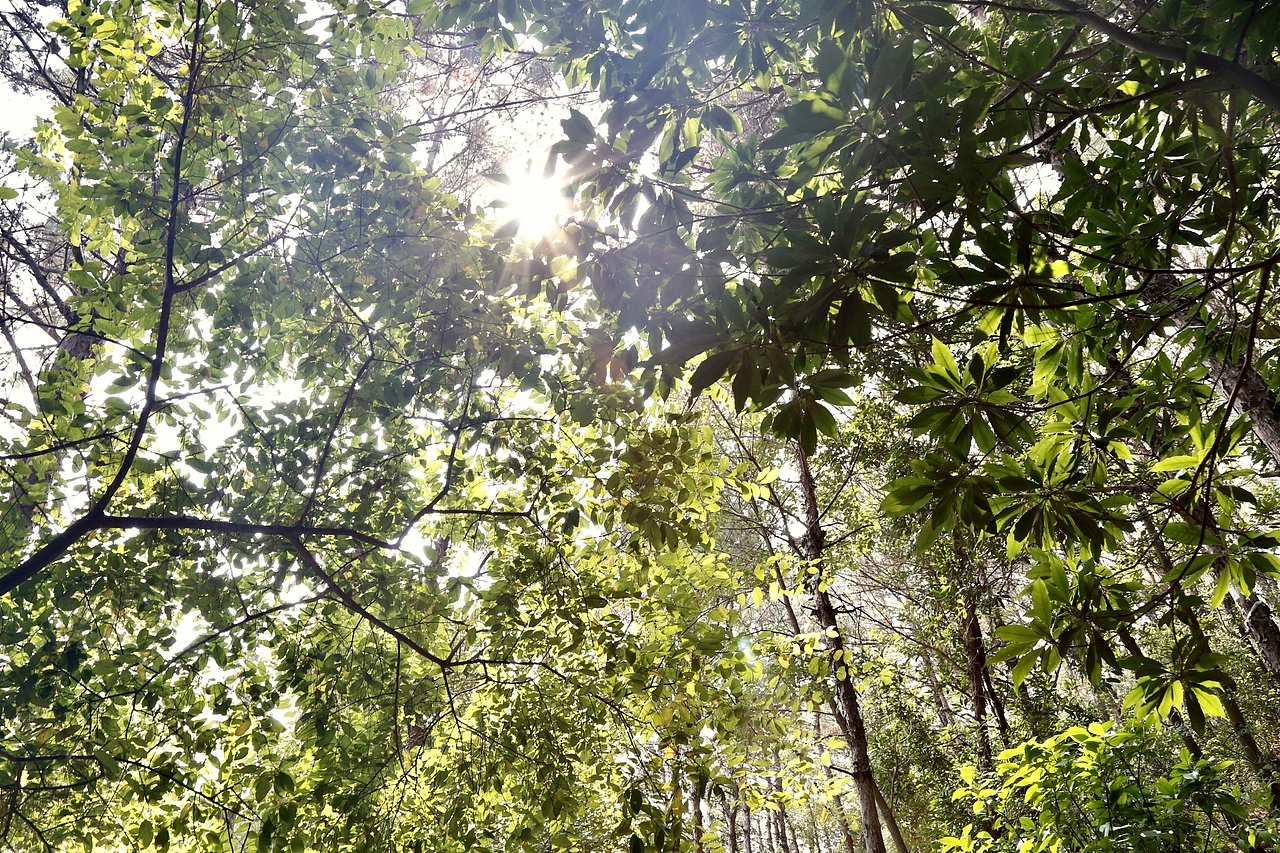 摄影（图ZMTUwNzUzNjQw） - 风光摄影 - 站酷设计师Sharman原创素材 - 站酷ZCOOL