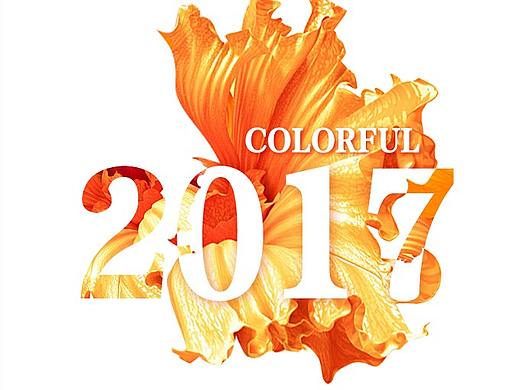 辽宁广播电视台2017
