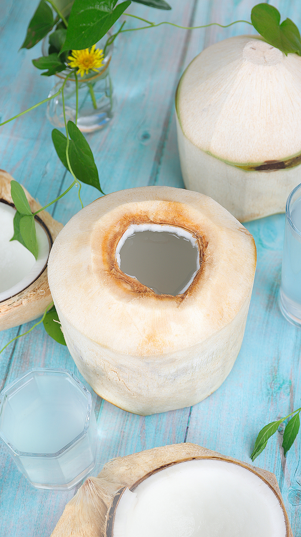 水果拍摄-海南椰青