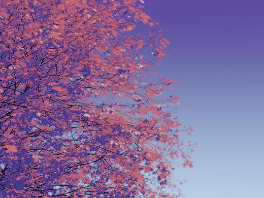 【blender】一些风格化渲染的练习