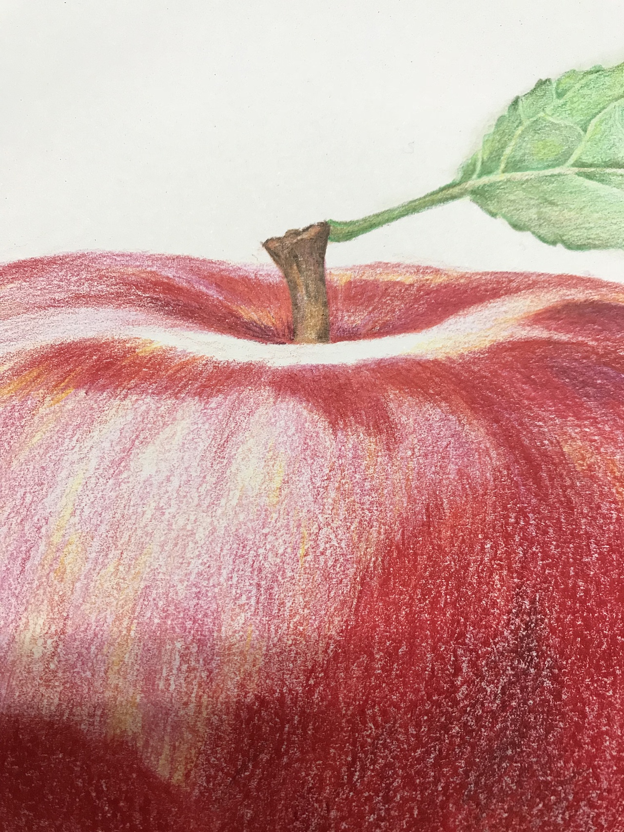 彩铅水果系列-苹果|纯艺术|彩铅|金波大叔 - 原创作品 - 站酷 (ZCOOL)