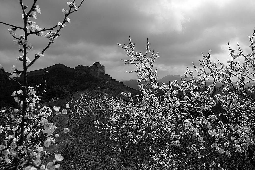杏花时节金山岭（图ZODA2NTcyMDQ=） - 环境/建筑摄影 - 站酷设计师北风制造原创素材 - 站酷ZCOOL