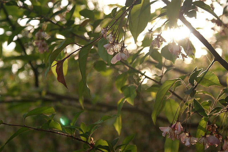 上海随拍（图ZMjUzMzI2OTI=） - 风光摄影 - 站酷设计师向日葵的阳光原创素材 - 站酷ZCOOL