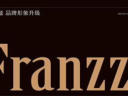 法丽兹品牌升级方案