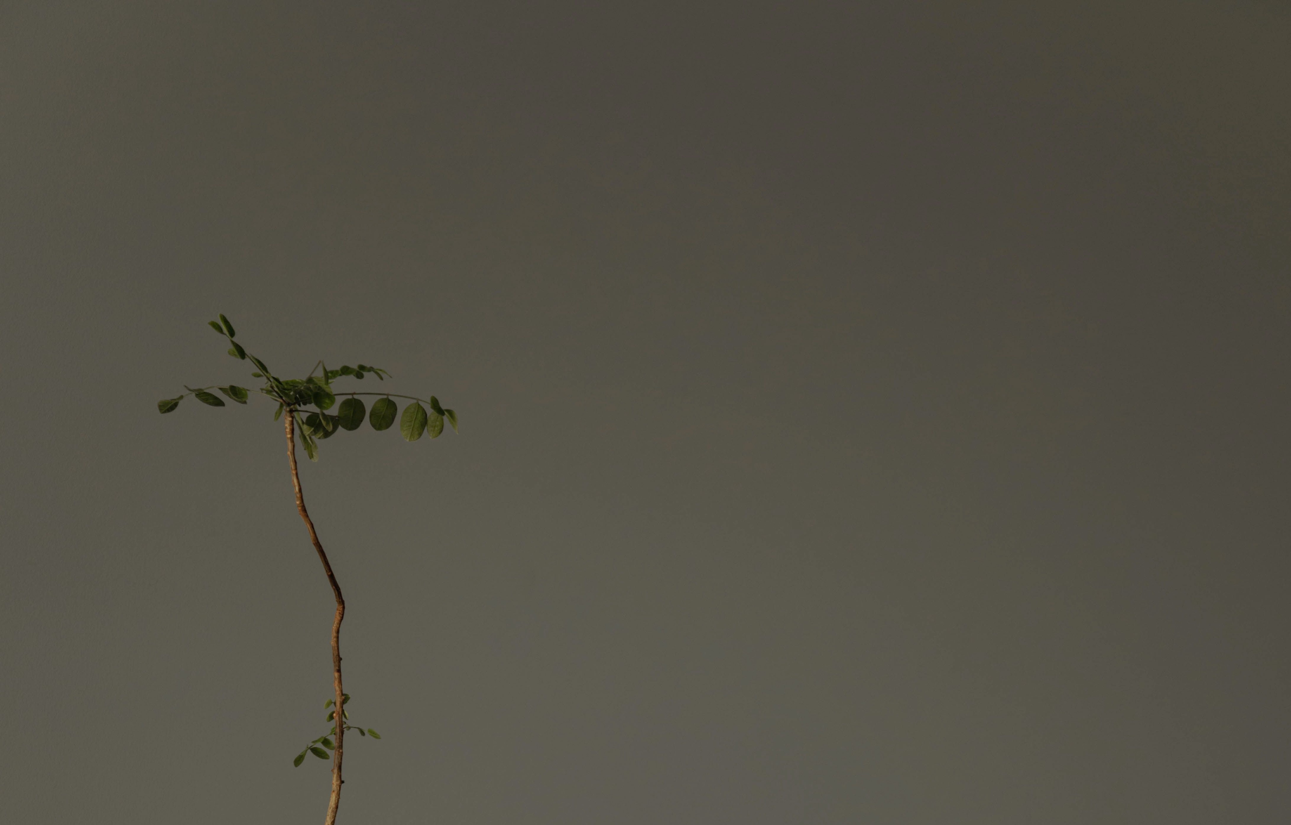 卡莎創(chuàng)意設(shè)計(jì)的個(gè)人主頁（封面預(yù)覽） - 主頁封面設(shè)置 - 站酷設(shè)計(jì)師卡莎創(chuàng)意設(shè)計(jì)原創(chuàng)素材 - 站酷ZCOOL