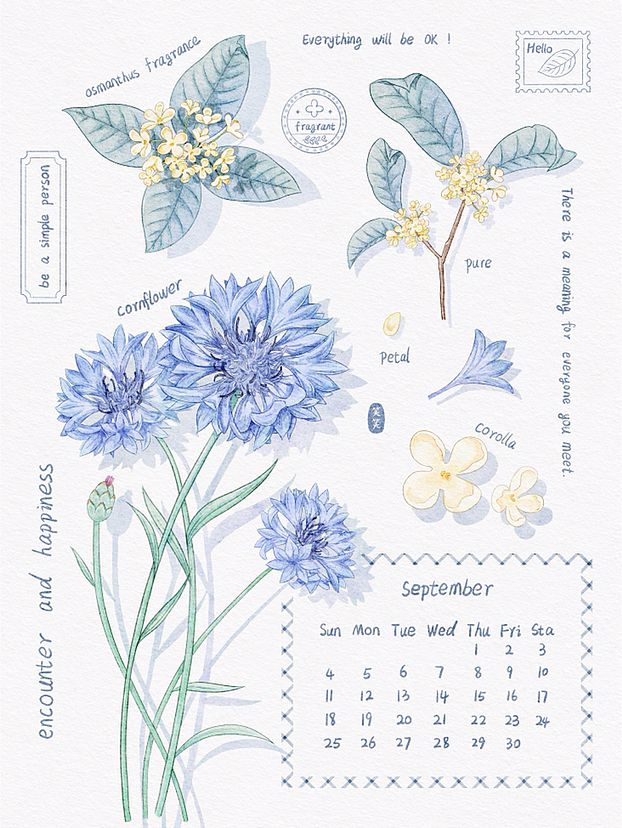 九月花卉日历插画（图ZMzE1MzgyMjcy） - 商业插画 - 站酷设计师笑笑Cathy原创素材 - 站酷ZCOOL