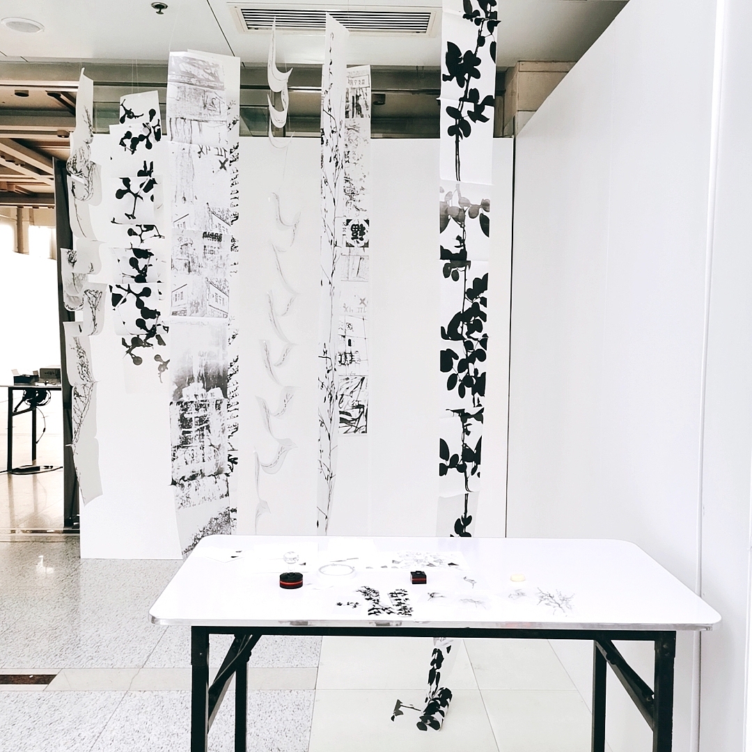 记忆折叠 -青岛平康五里微改造