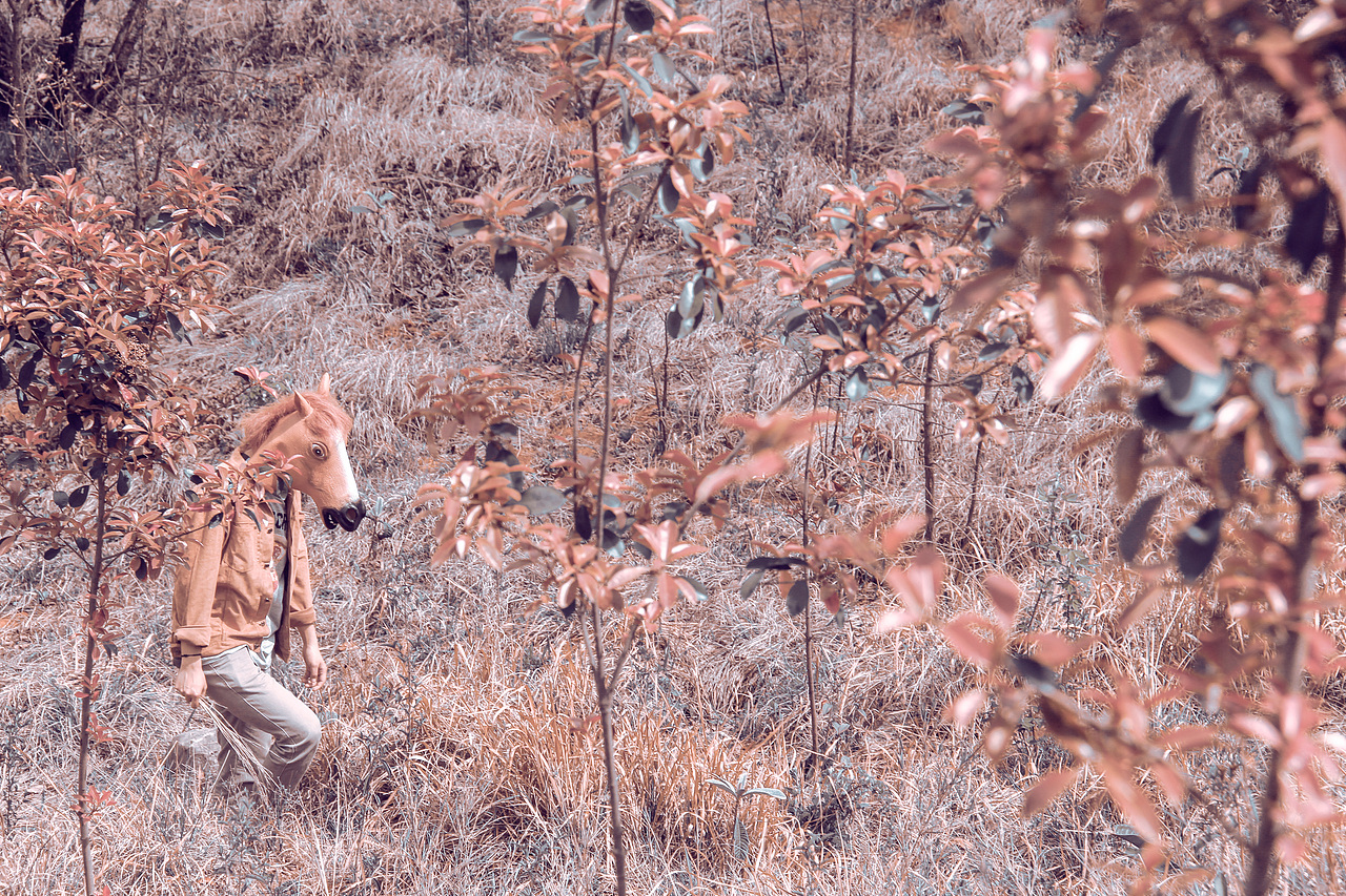 野里 | 姓张的马先生