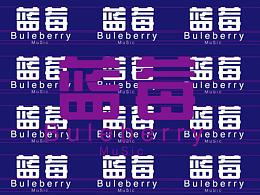 vis品牌全案