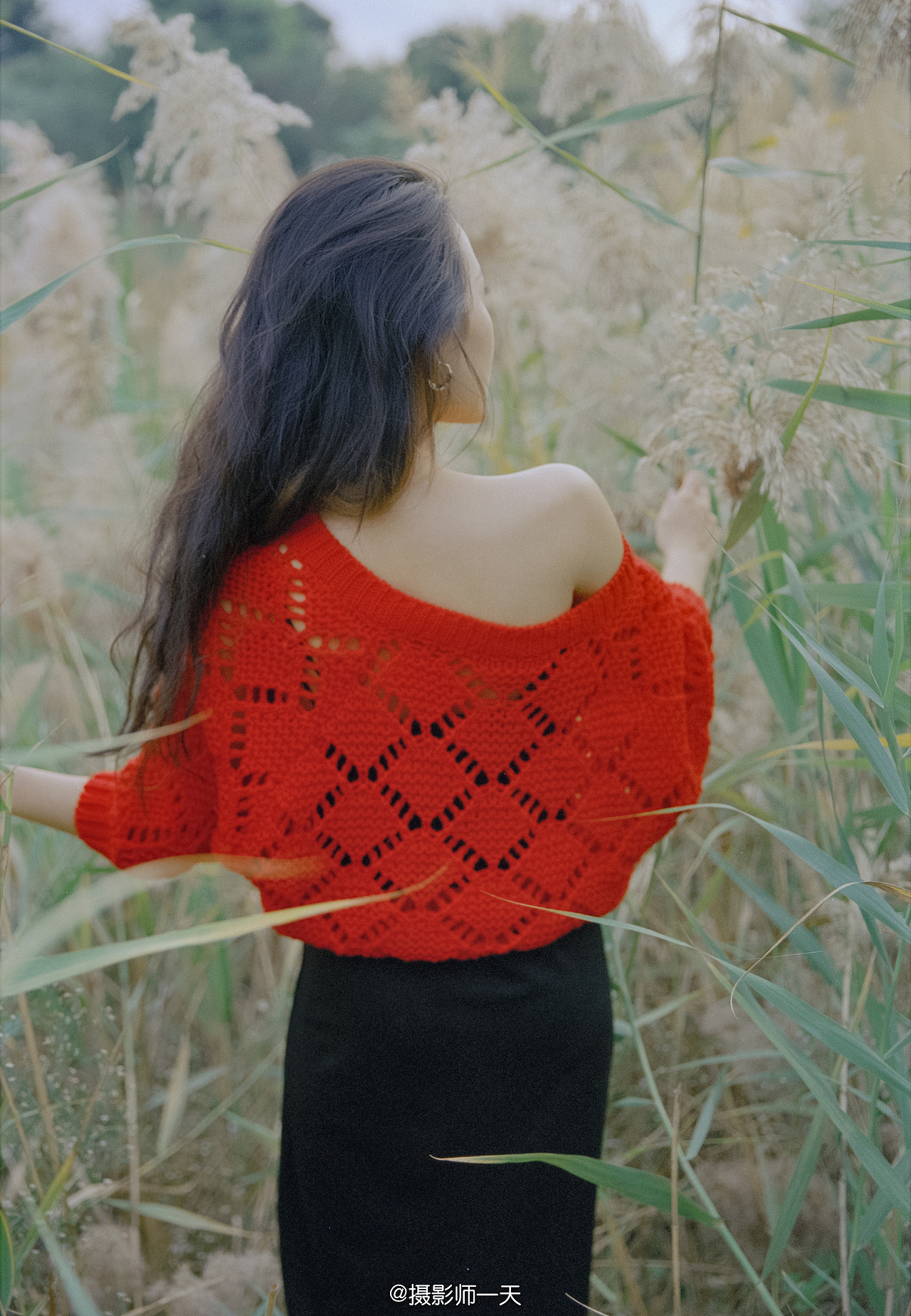 冬季芦苇（图ZMjM5NTY0NTY4） - 人像摄影 - 站酷设计师摄影师一天原创素材 - 站酷ZCOOL