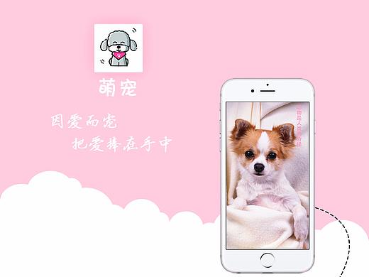 宠物app