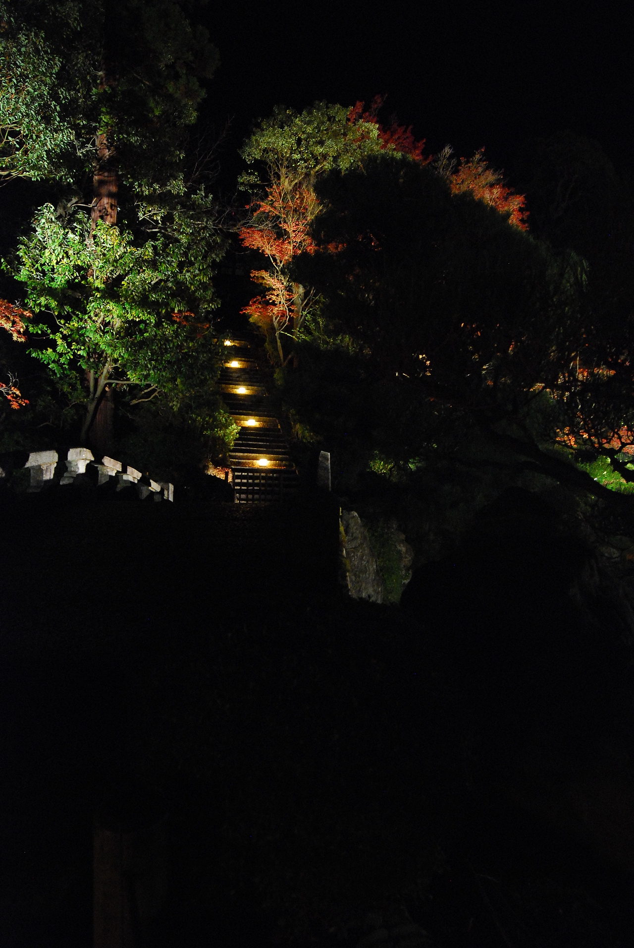 八坂神社夜枫 红叶 寺庙 观音 深夜