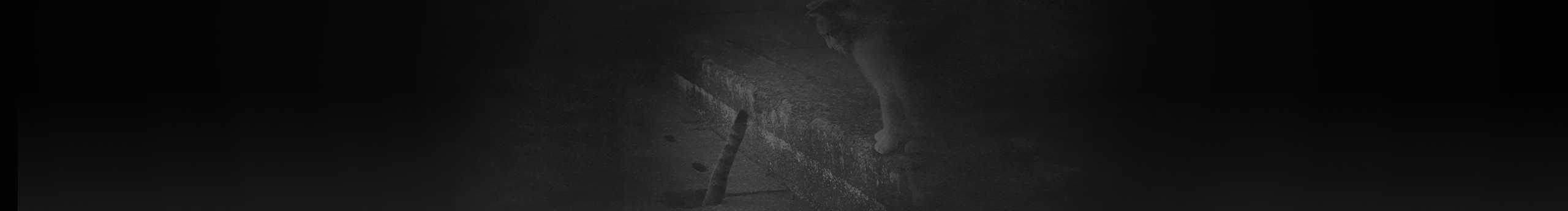 三毛也能梳中分的個人主頁（封面預(yù)覽） - 主頁封面設(shè)置 - 站酷設(shè)計師三毛也能梳中分原創(chuàng)素材 - 站酷ZCOOL