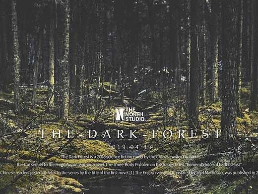 The Dark Forest