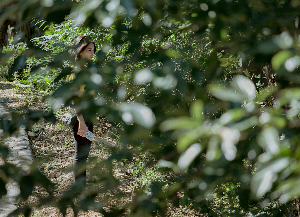 【存照】站酷9周年北京站