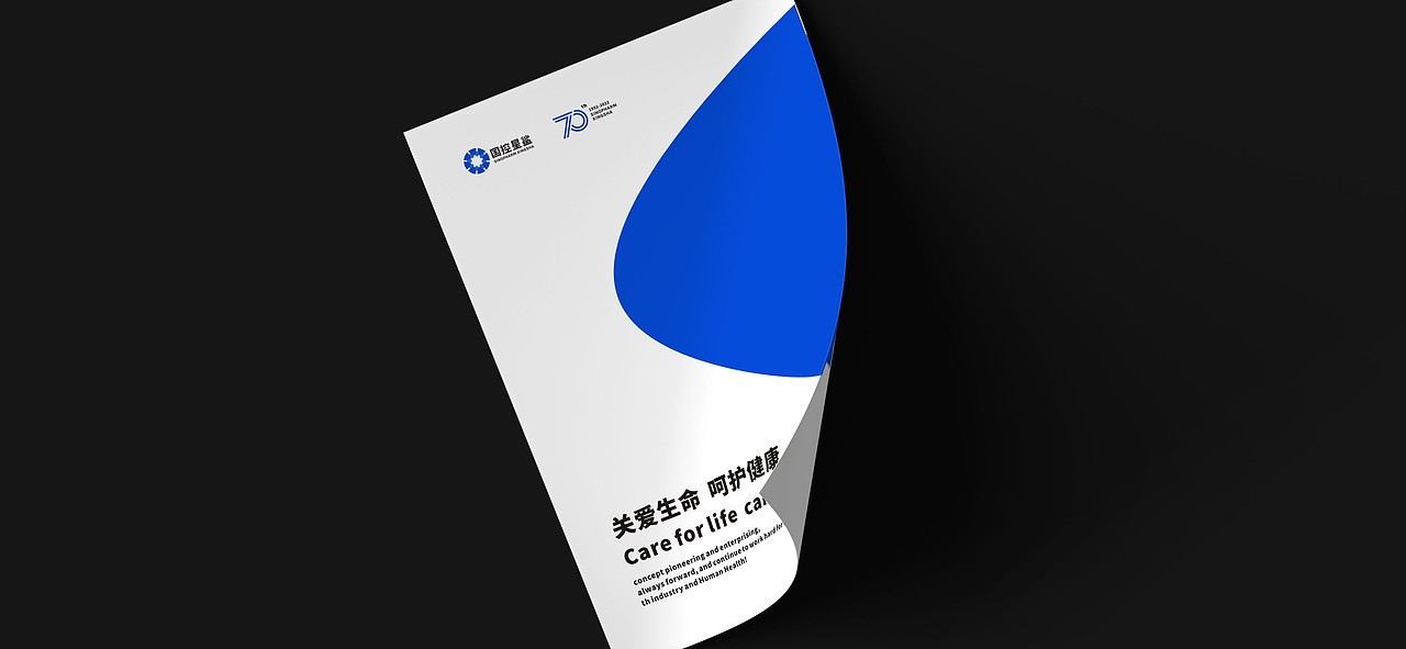 LOGO设计 | 国控星鲨LOGO&会徽设计