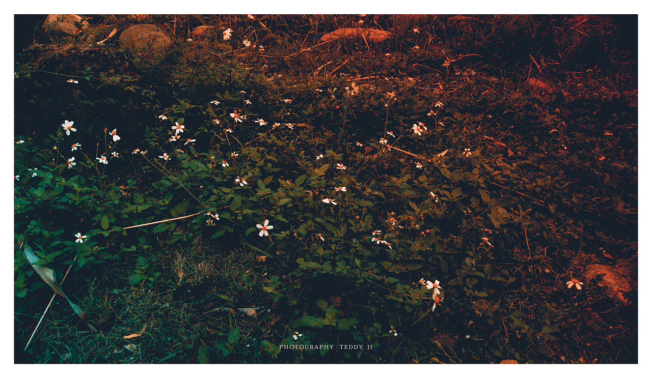 情绪 03.07 2020#（图ZMTk4NzY2NDk2） - 人文/纪实摄影 - 站酷设计师林十一_Ted11原创素材 - 站酷ZCOOL