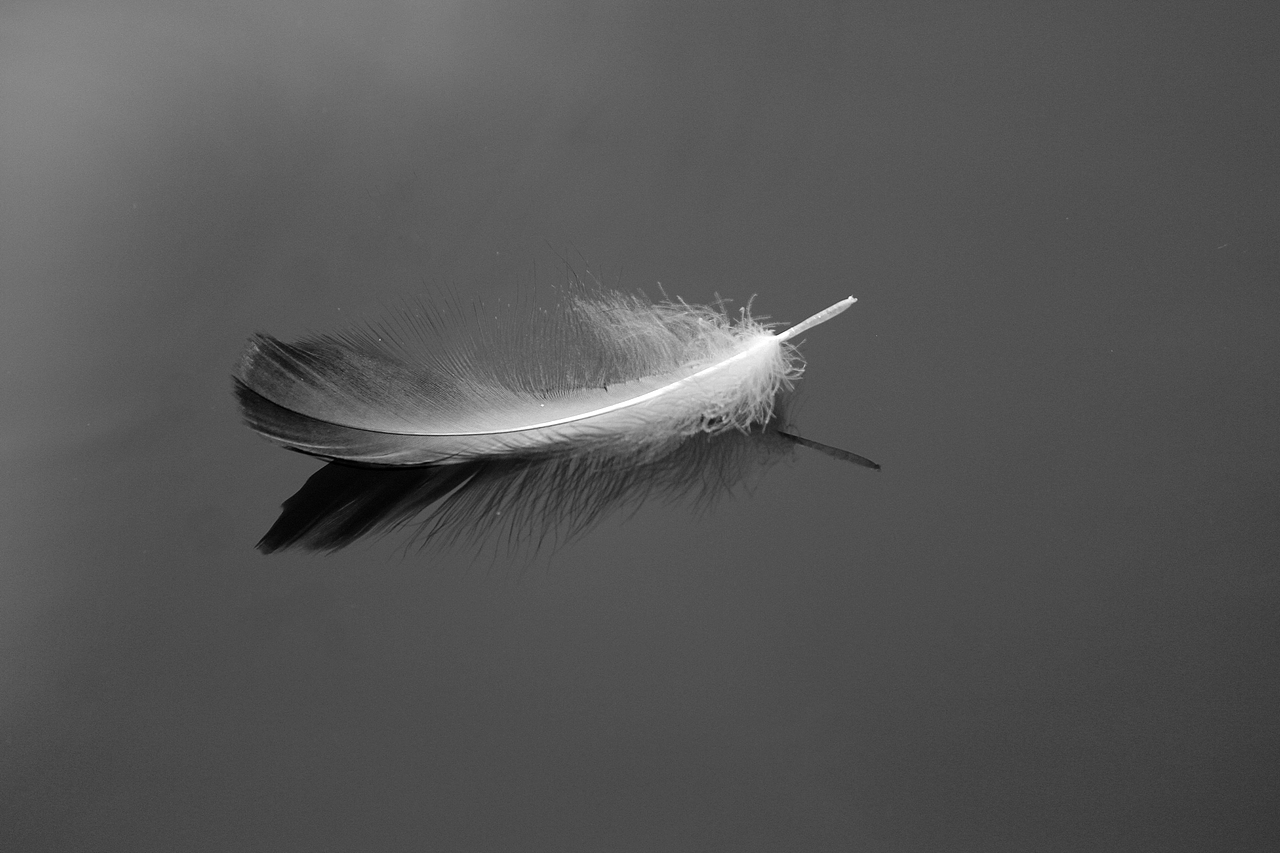 摄影（图ZOTc5MDM2NjQ=） - 其他摄影 - 站酷设计师威舞长空原创素材 - 站酷ZCOOL