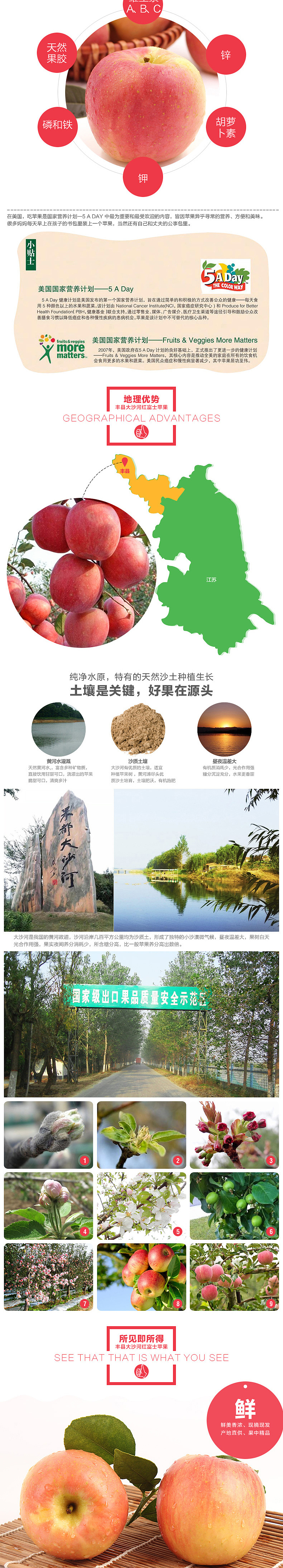 苹果详情页 水果（图ZMTUwMDc2NTU2） - 电商 - 站酷设计师三一视觉原创素材 - 站酷ZCOOL