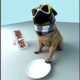 cg3d虫的头像