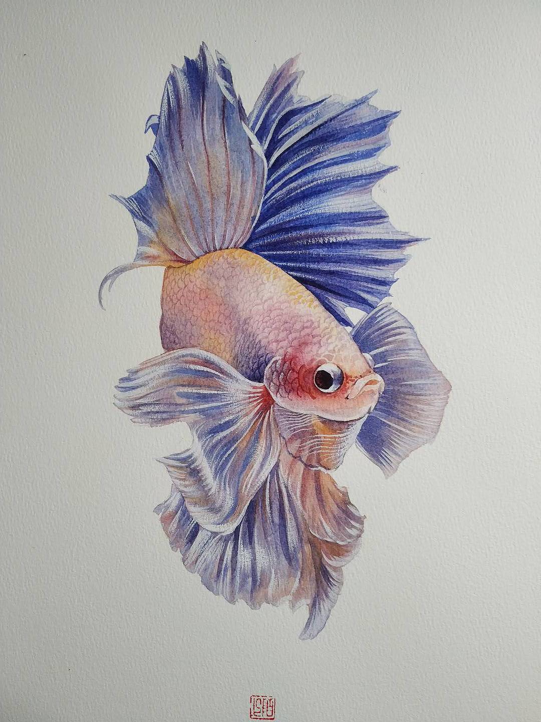 水彩斗鱼