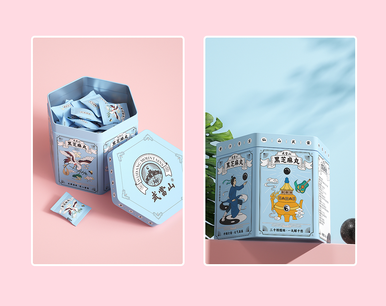 武当山芝麻丸包装渲染