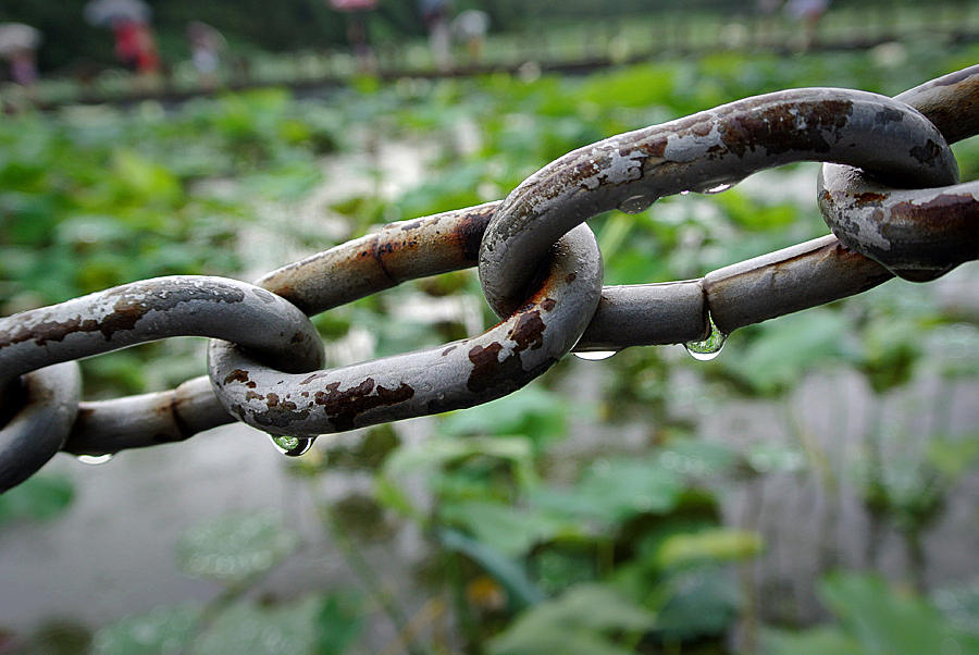 浅夏——偶阵雨