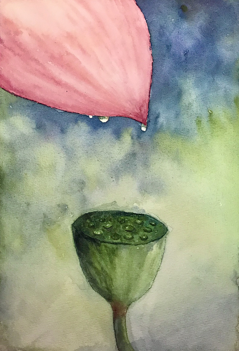 水彩画练习(一)