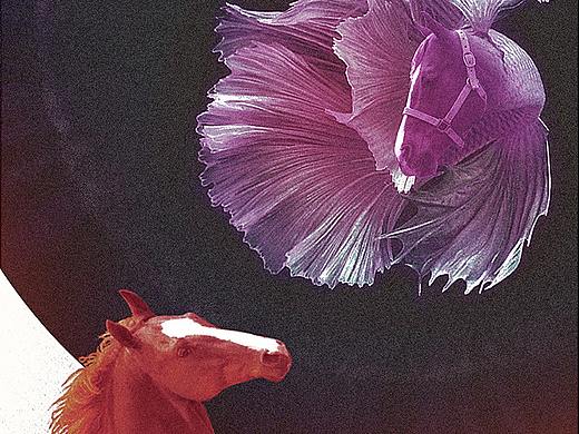 庚子年 五月4日 · 梦马头鱼