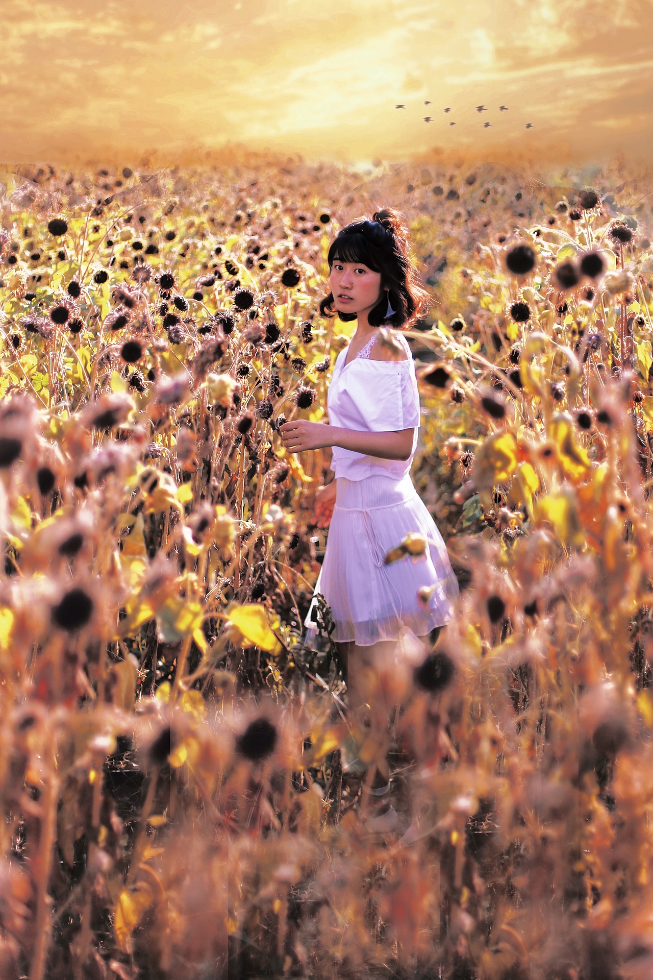麦田少女（图ZMjQzODM5ODI0） - 人像摄影 - 站酷设计师肉脸鱼富贵原创素材 - 站酷ZCOOL