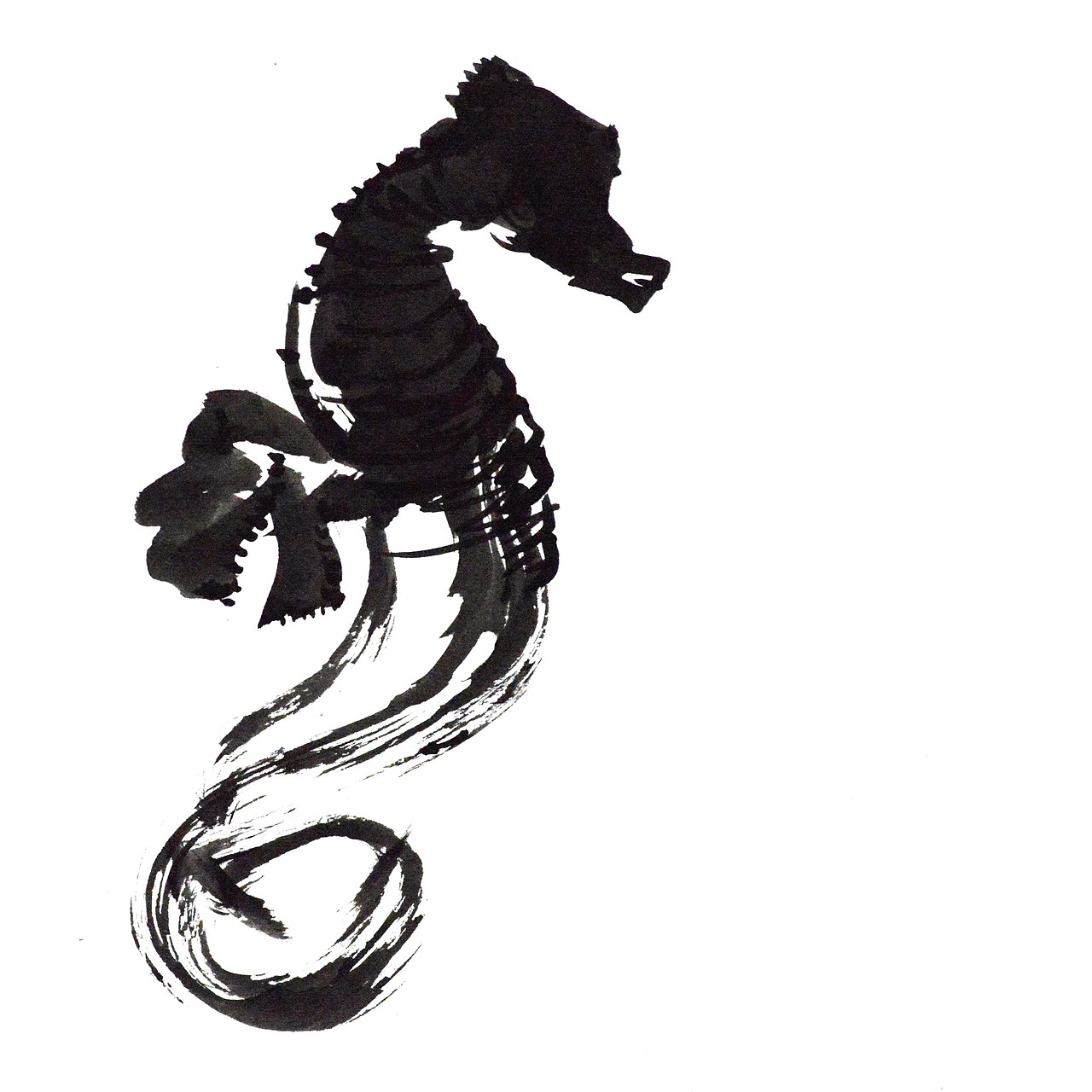海马seahorse