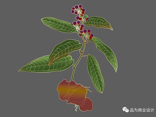 保健代餐产品包装设计