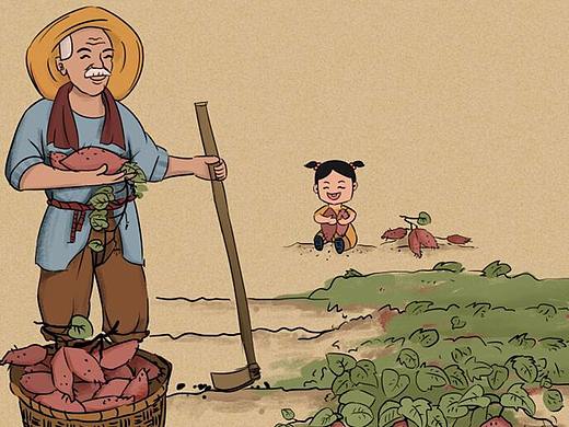 红薯包装袋