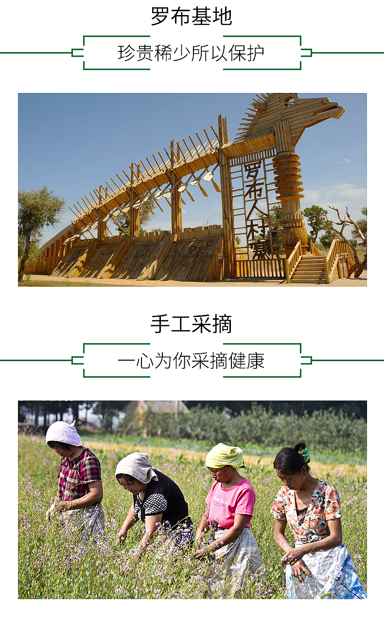 愚石苑养生会馆---2017茶叶详情页新疆罗布麻养生减肥美颜高端创意绿色天然三高用品电商淘宝天猫京东