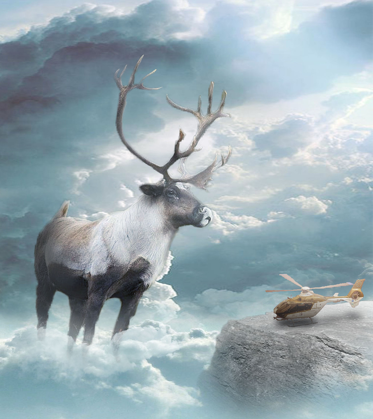 ps合成练习作|平面|海报|我有两只兔子_原创作品-站酷zcool