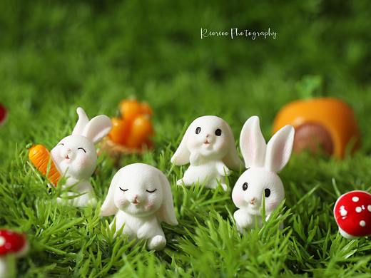 静物摄影 潮玩摄影 摆件摄影 玩具摄影 产品摄影 电商