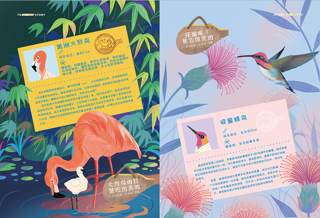 《慢成长》2020.01月刊