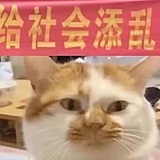 板板233的头像