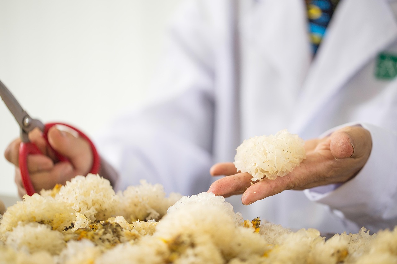 天生露 露生雾 美