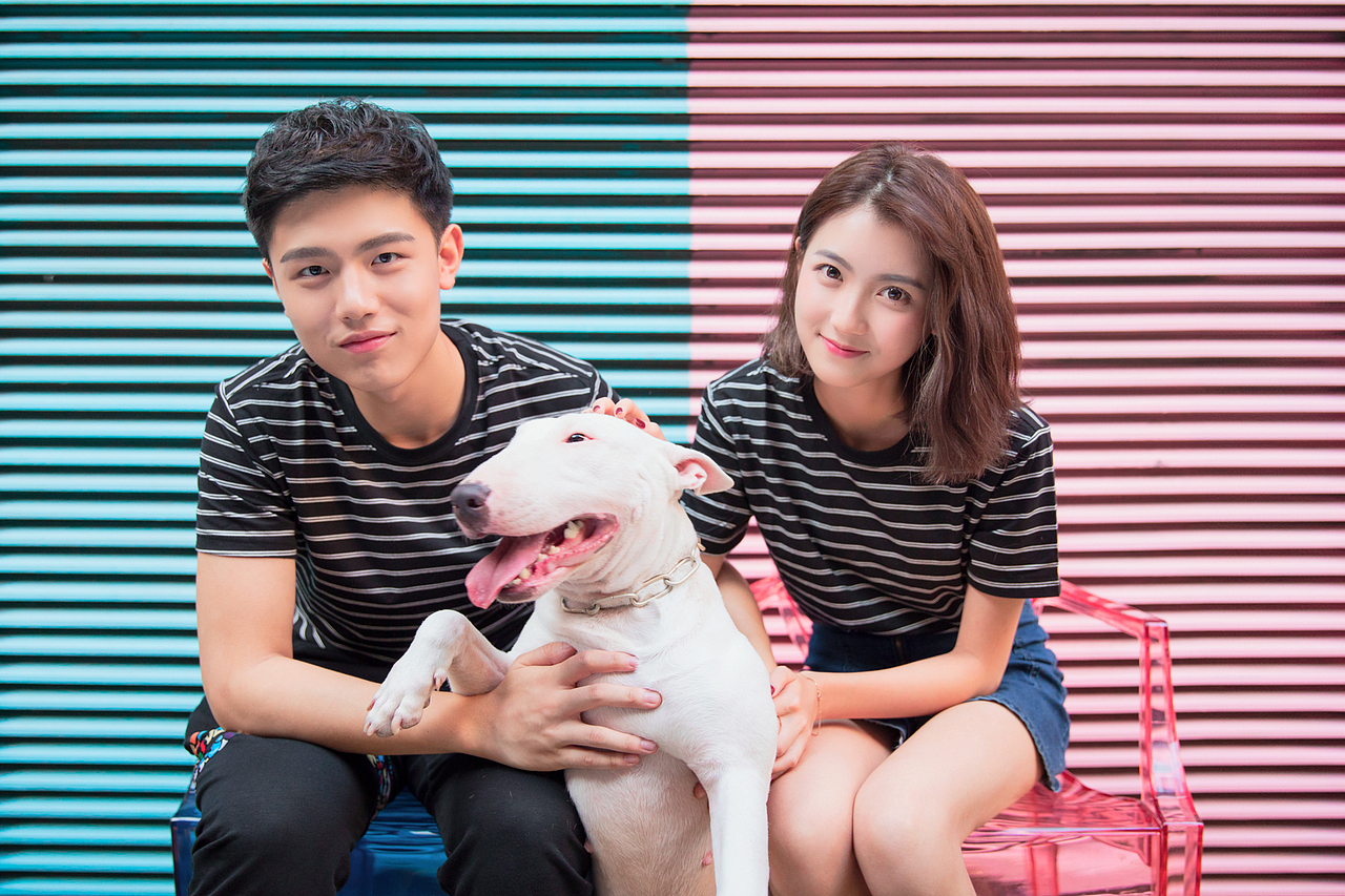 《爱情的样子》